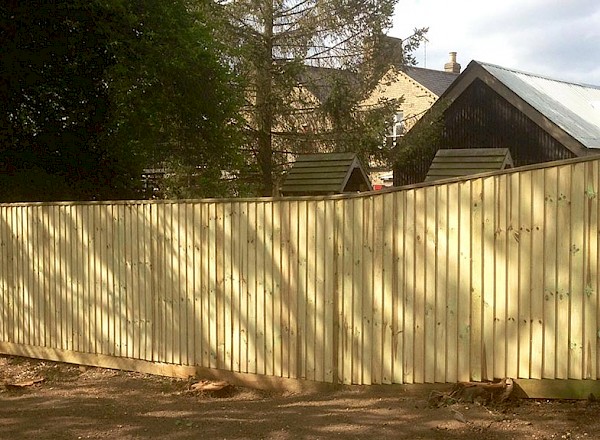 Green treated close board fencing Green treated close board fencing