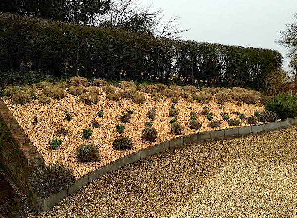 garden designers bury st edmunds