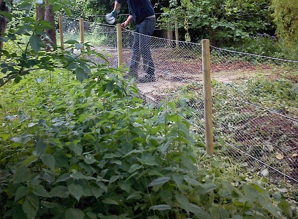 garden landscaping bury st edmunds garden landscaping bury st edmunds