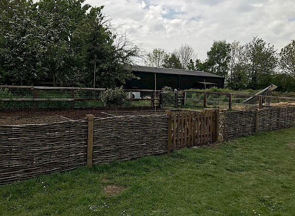Hazel Hurdle fencing and gate installation Hazel Hurdle fencing and gate installation
