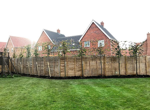 Landscape garden bury st edmunds