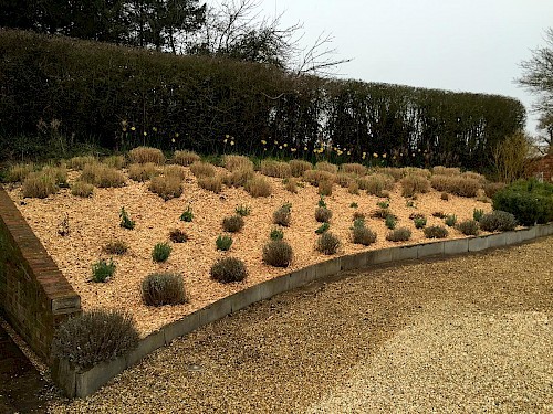 Gravel borders with planting