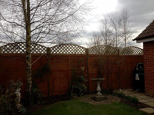 Panel fencing with trellis