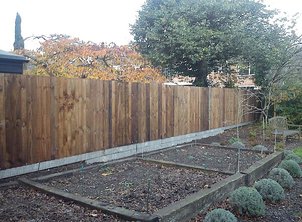 Replacement fencing Replacement fencing